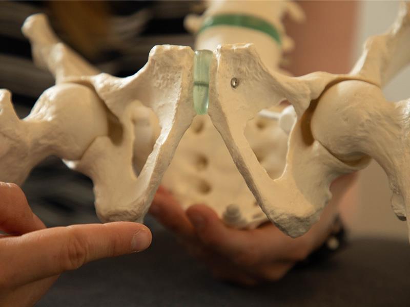 Bekkenbodemtherapie uitgevoerd door Impakt Kiné, Essen - Wuustwezel