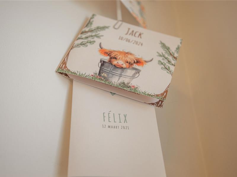 Pré en postnatale kiné uitgevoerd door Impakt Kiné, Essen - Wuustwezel