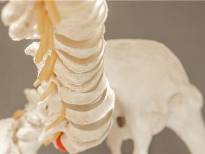 Rug- en nekschool Impakt Kiné, Essen - Wuustwezel